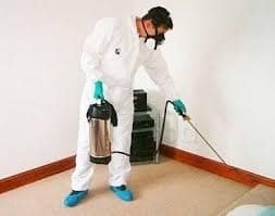 cockroach-pest-controller-Auckland