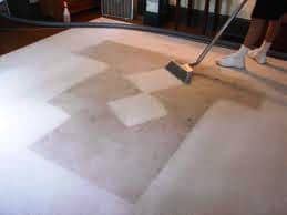 carpet cleaning Auckland