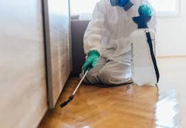ant pest controllers