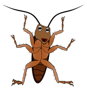 flea-control-Auckland