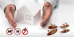 Warehouse pests control Auckland